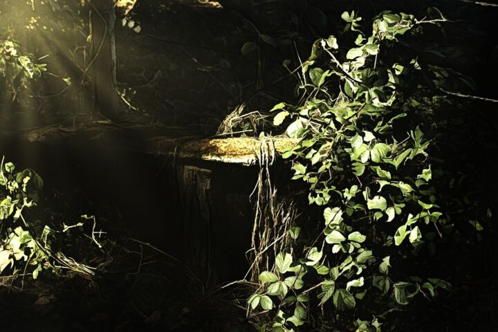 Photography titled "Country Seat." by Dave English, Original Artwork, Digital Photography