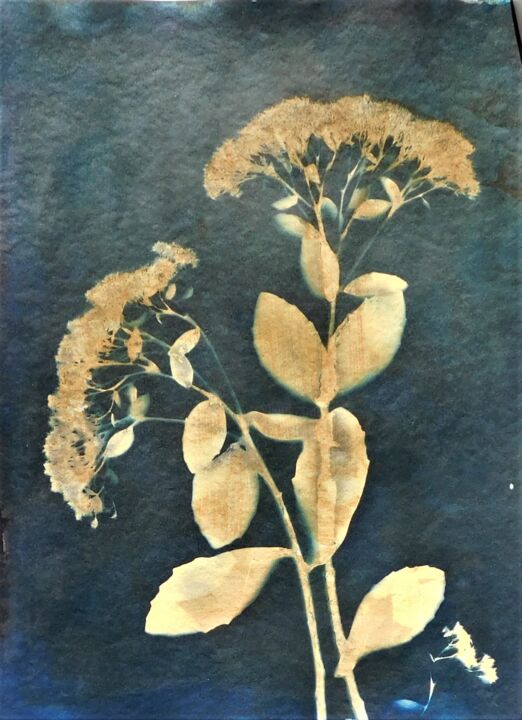30 x 40_VEGETAL 5 印花与版画, 15.8x11.8 in
