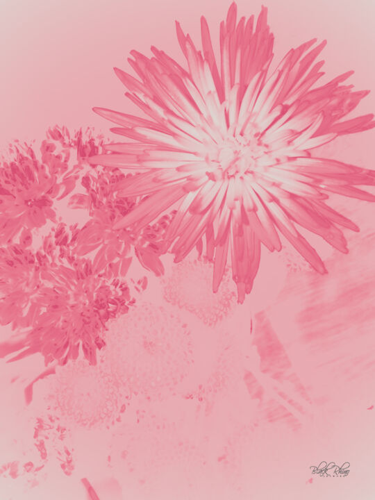 Pink Radiance Printmaking, 55x40 in
