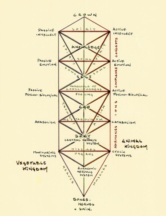 Desenho intitulada "Kabbalah - Spiritua…" por Philip Guest, Obras de arte originais, Tinta