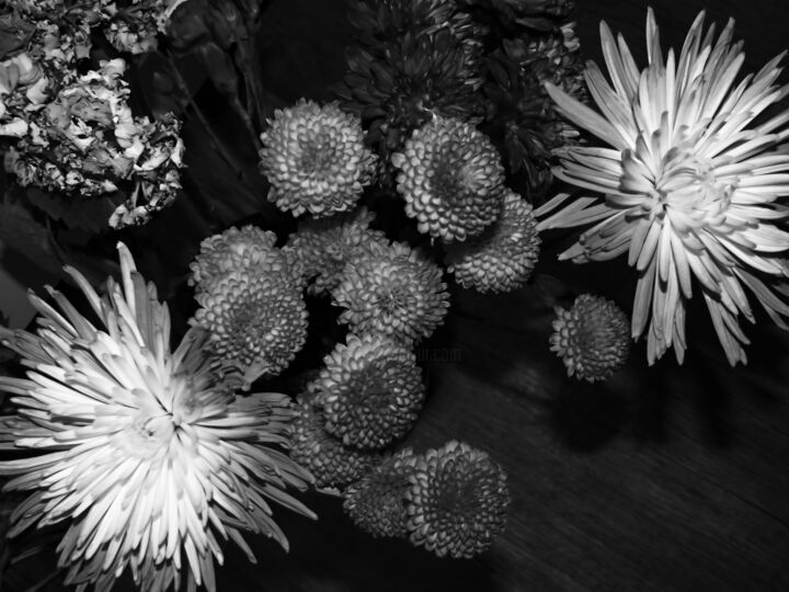 Flowers Emono Printmaking, 40x55 in