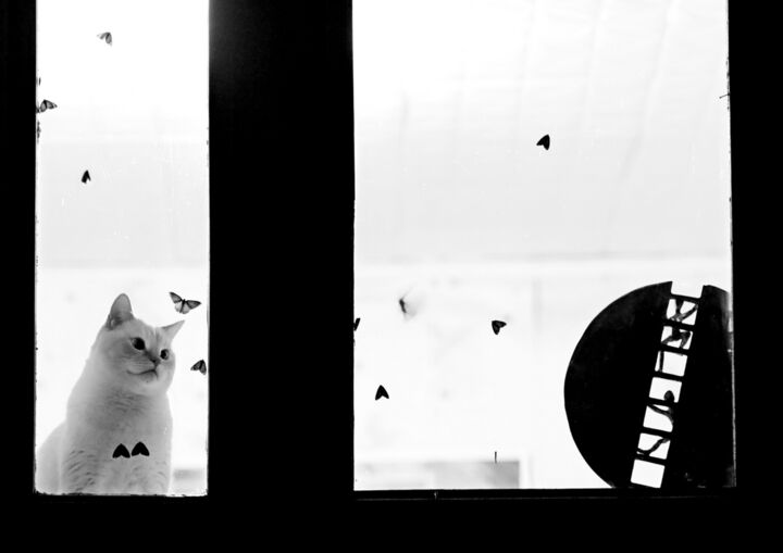 Digital Arts titled "Night outside the w…" by Valery Starkov, Original Artwork, 2D Digital Work