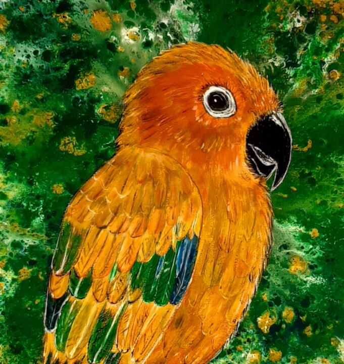 perroquet orange 图画, 7.9x7.9 in