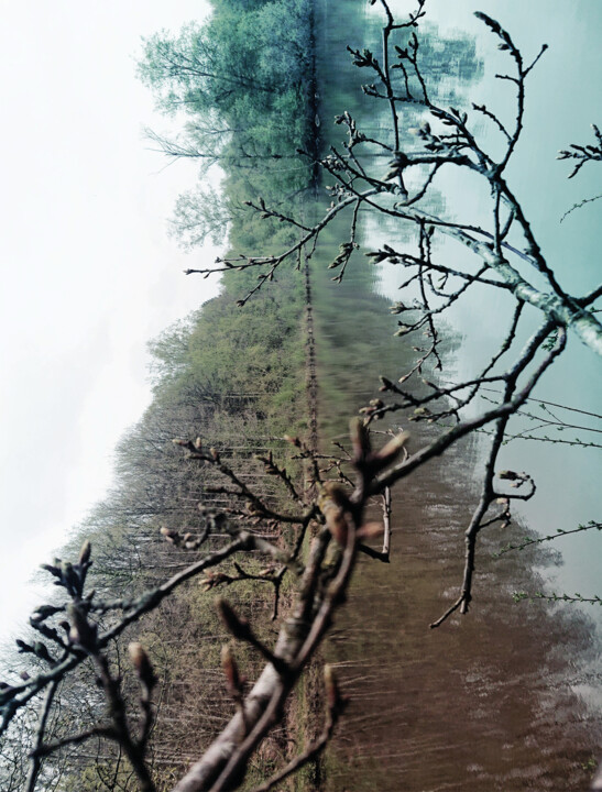 Photographie intitulée "The tree hides the…" par Pascal Carro (ORAK), Œuvre d'art originale, Photographie manipulée