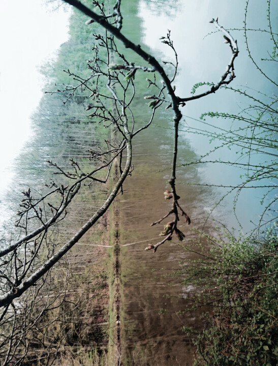 Photographie intitulée "The tree hides the…" par Pascal Carro (ORAK), Œuvre d'art originale, Photographie manipulée