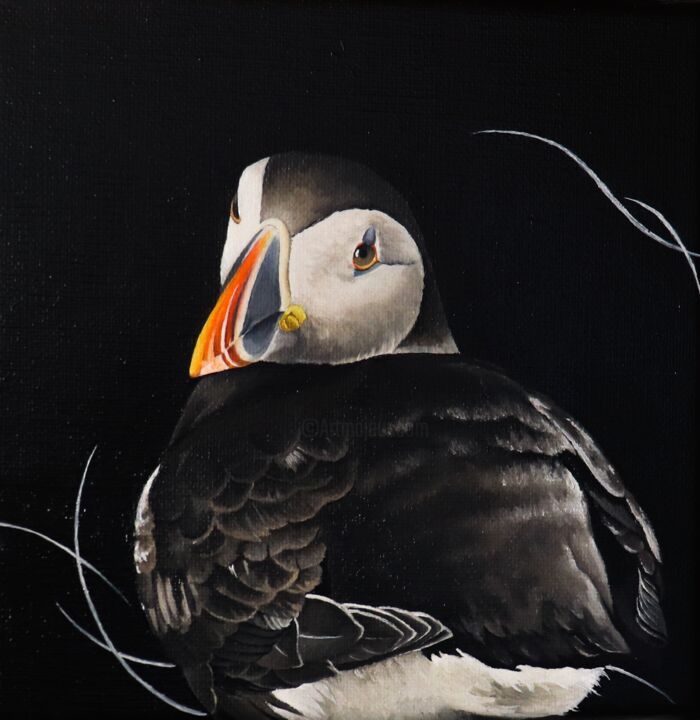 MACAREUX 3 绘画, 7.9x7.9 in
