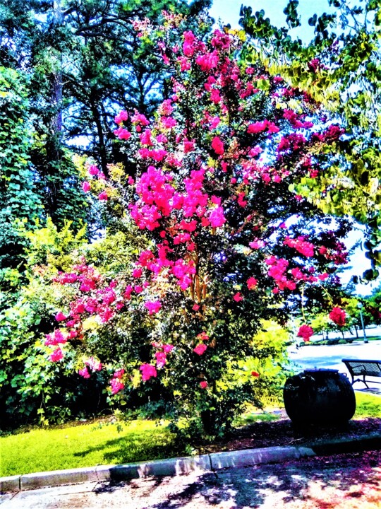 ATLANTA '22(3) Photography