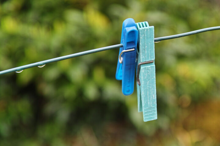 Pince à linge 摄影