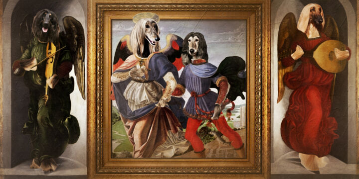 Afghan Hound Woof Hound Angels Triptych 数字艺术, 24x12 in