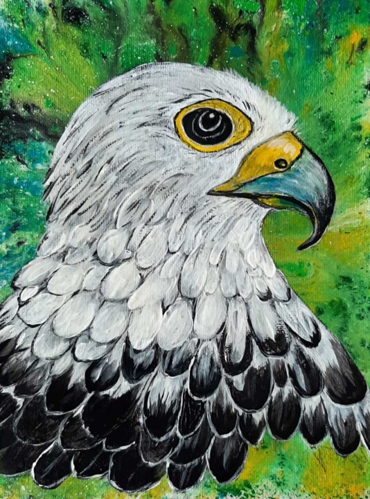 faucon oiseau 图画, 9.5x7.1 in