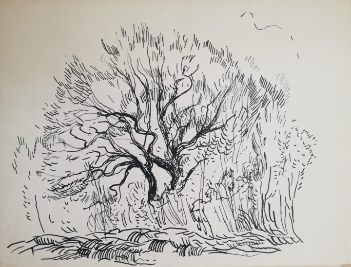 Dessin intitulée "Old tree" par Yulia Aks, Œuvre d'art originale, Encre
