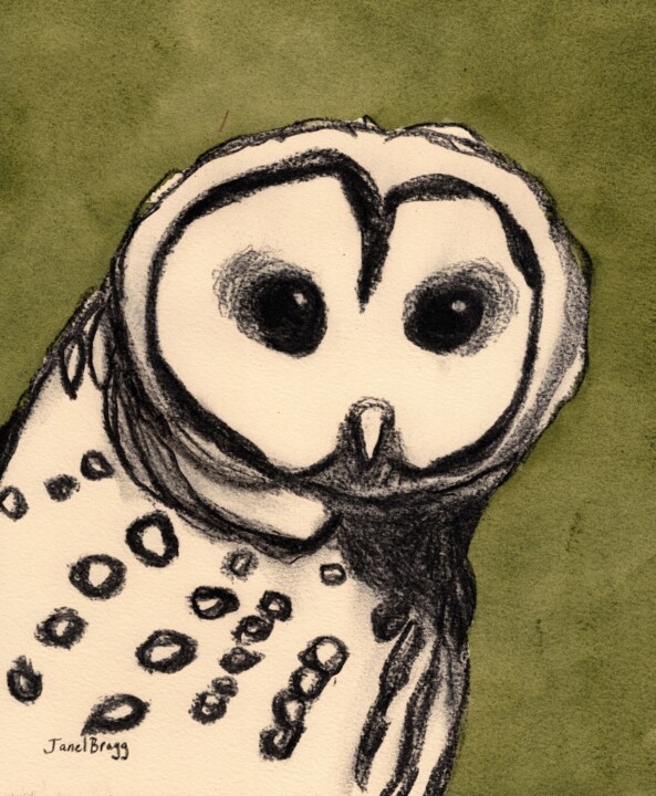Owl on Mom's Porch 绘画, 11x9 in