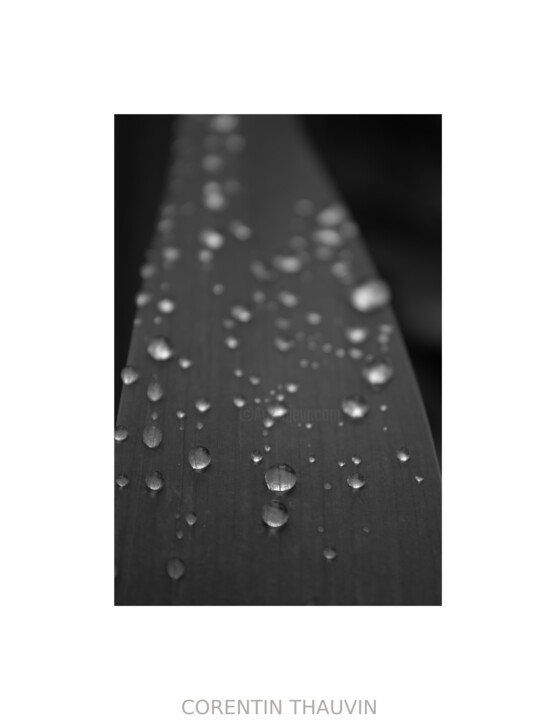 Photography titled "Black drop" by Corentin Thauvin, Original Artwork, Manipulated Photography
