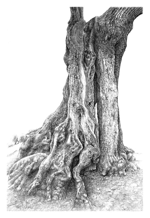 Drawing,  11.8x7.9 in 