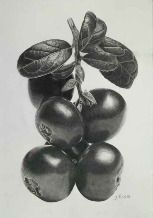 Cranberry Branch 图画, 20.1x14.2 in