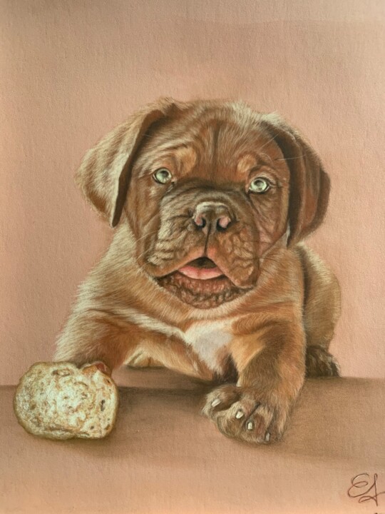 Drawing titled "Chiot dogue de bord…" by Jess.C.Art, Original Artwork, Pastel Mounted on artwork_cat.