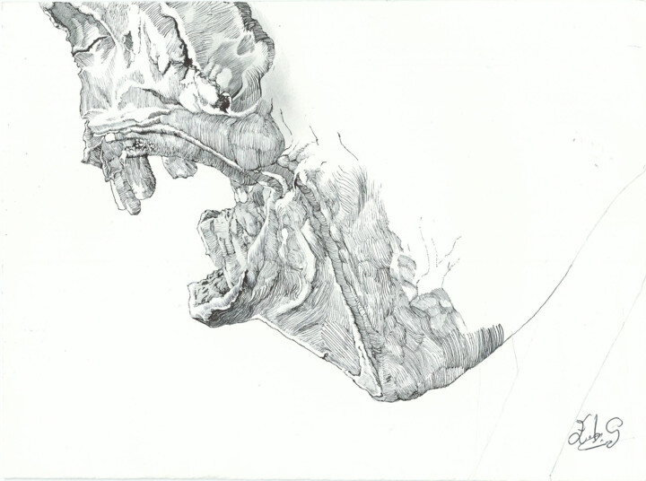 Study On Light And Shadows 12, Drawing by Eduardo Bustos