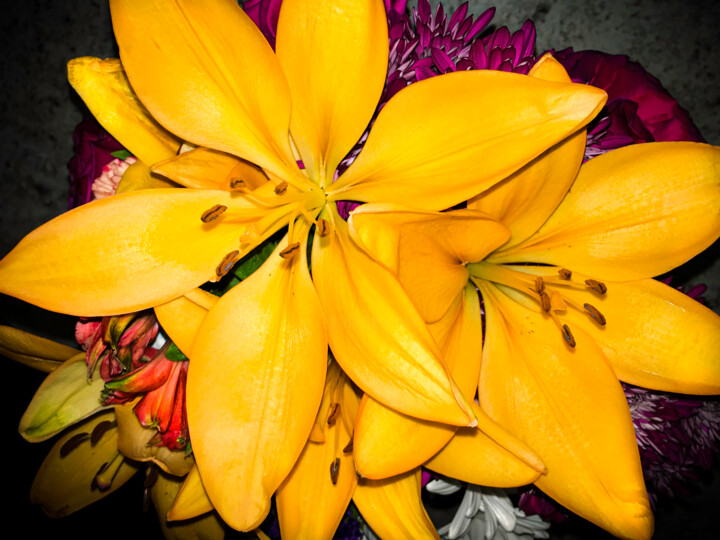 Yellow Lilies in Tranquil Focus Printmaking, 40x55 in