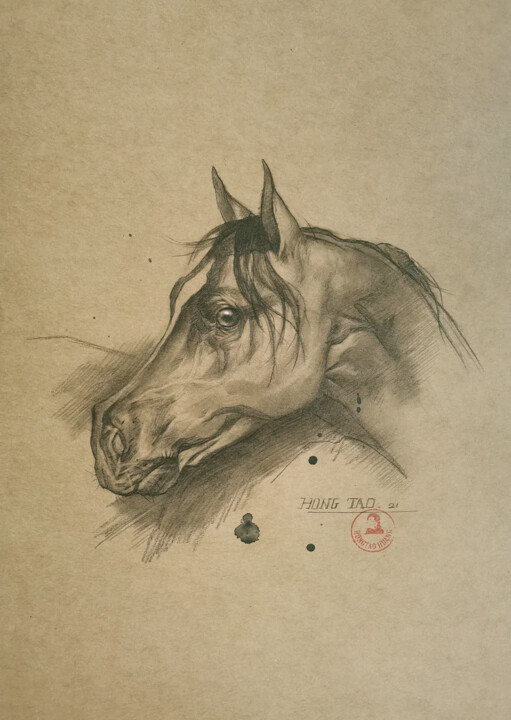 Horse #22527 图画, 11.6x8.3 in