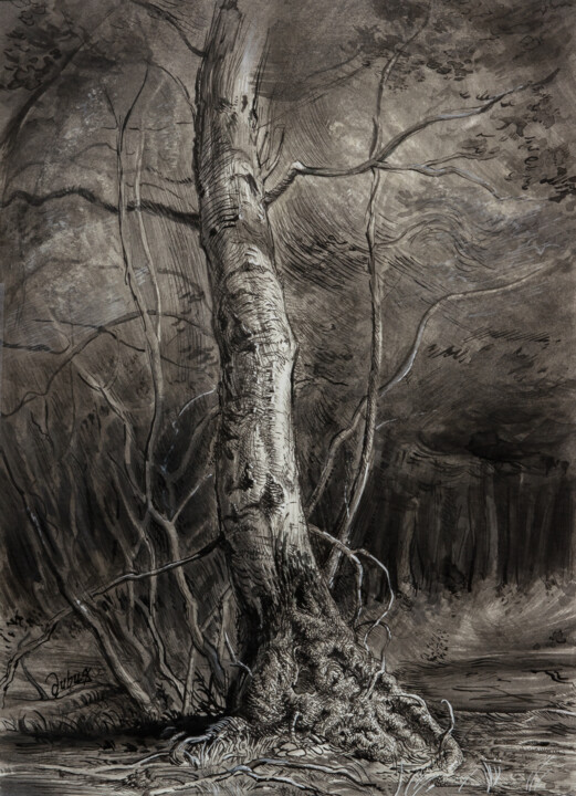 Bouleau dans la forêt d'Hardelot Drawing, 8.3x5.8 in