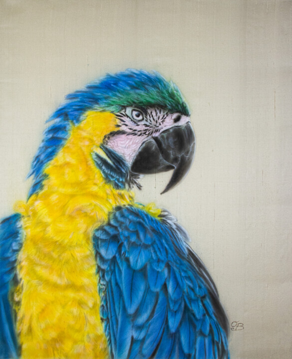 Macau – Silk painting, parrot, birds, realism 绘画, 21.7x17.7 in