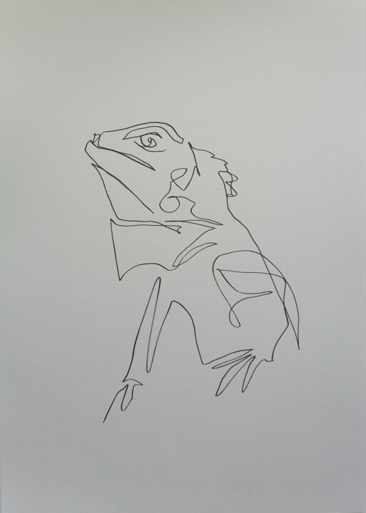 Iguana 图画, 11.7x8.3 in