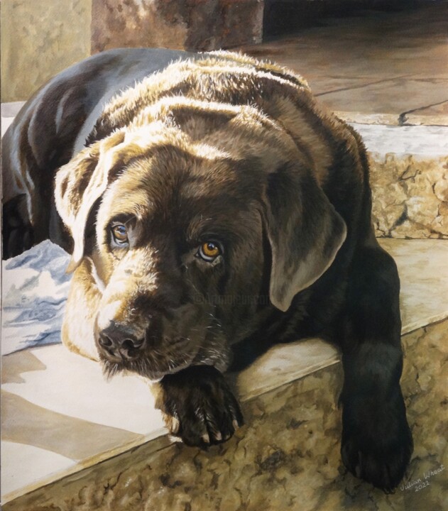 Chocolate Labrador,Kenko 绘画, 22.5x18.5 in