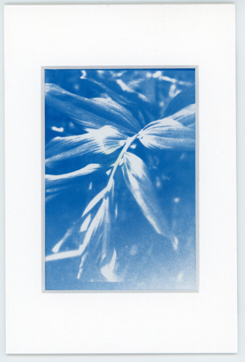 Carte 1 Photography, 5.9x3.9 in
