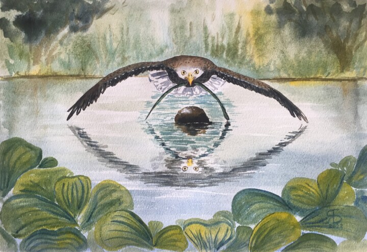 Eagle flight 绘画, 10.6x15.4 in