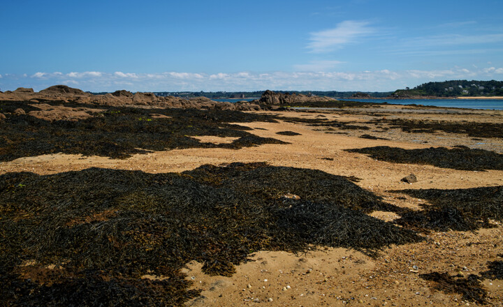 Fotografie getiteld "Carantec, l'estran,…" door Thierry Martin, Origineel Kunstwerk, Digitale fotografie