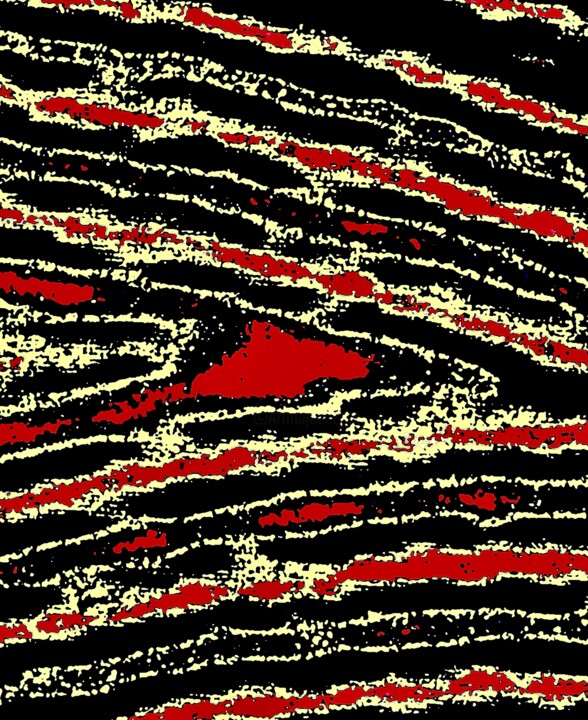 摄影 标题为“A Shark in a Swell…” 由Ken Lerner, 原创艺术品, 数码摄影
