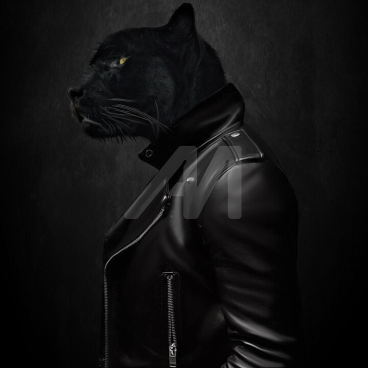 Portrait of a black cat in a biker jacket. 数字艺术