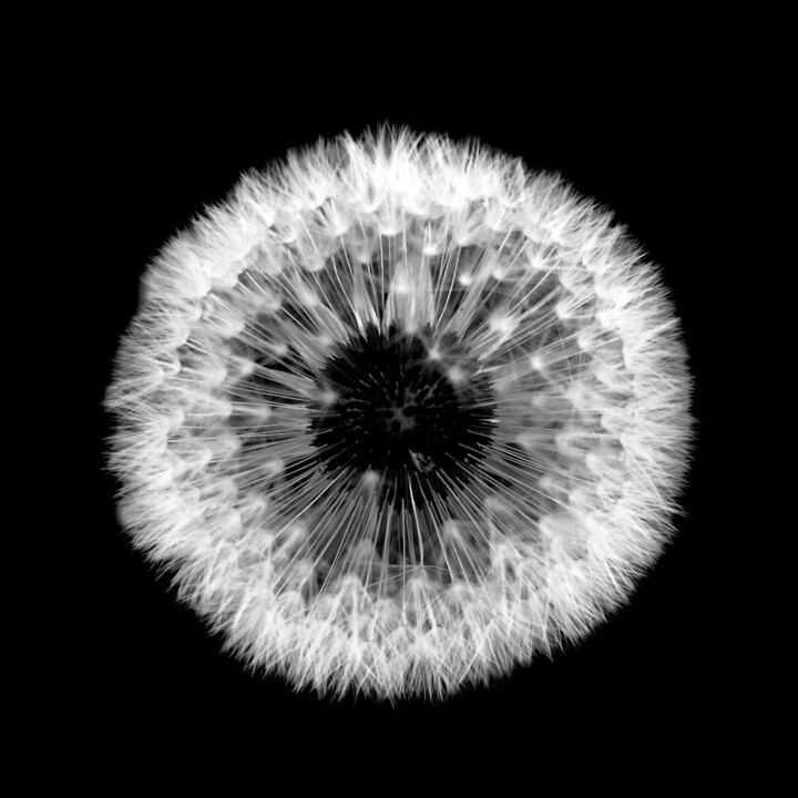 Photography titled "Nuovo" by Halima Bataal, Original Artwork, Digital Photography