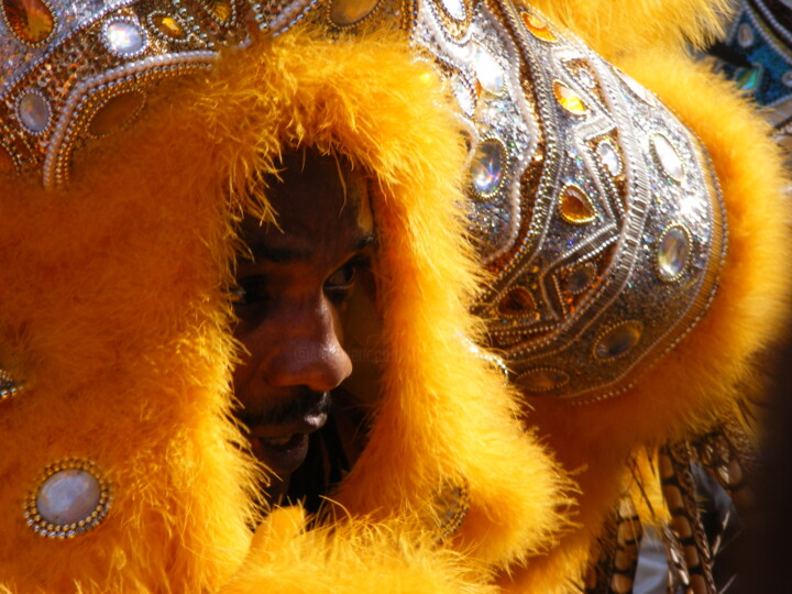 MARDI GRAS DANCER 摄影