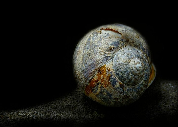 Photographie intitulée "Vide Sidéral." par Dave English, Œuvre d'art originale, Photographie numérique