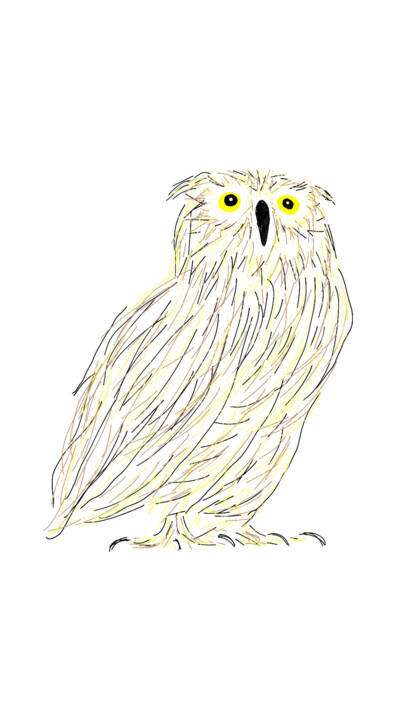 Owl 数字艺术