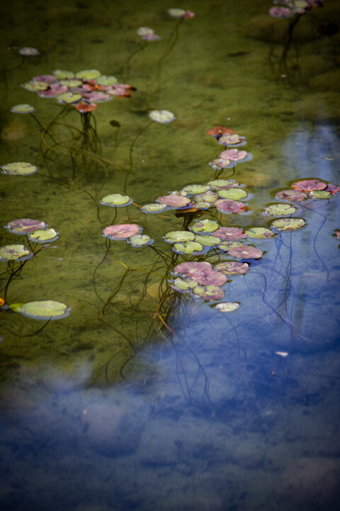 Photography titled "Balade sur le lac e…" by Carmen Lazarescu, Original Artwork, Digital Photography
