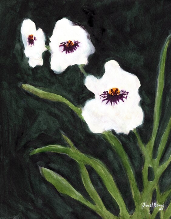Botanical with Miltonia Orchid III 绘画, 14x11 in