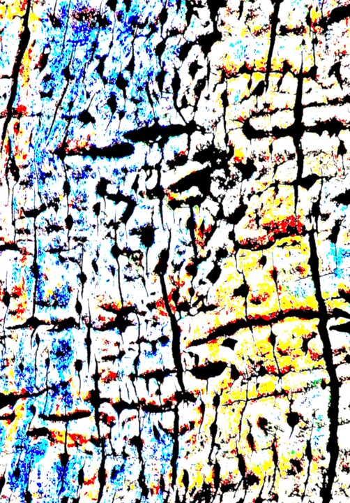 Wood 27 Photography, 40x27.9 in