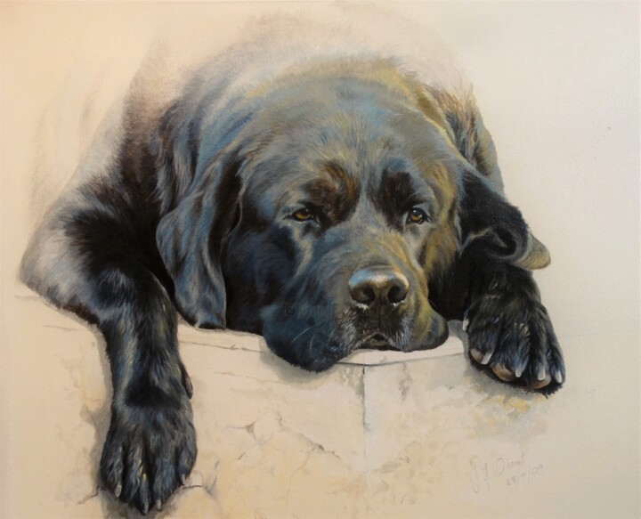 Benji 绘画, 16x20 in