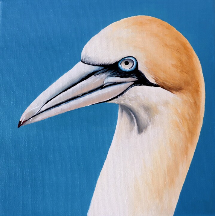 FOU 3 绘画, 7.9x7.9 in