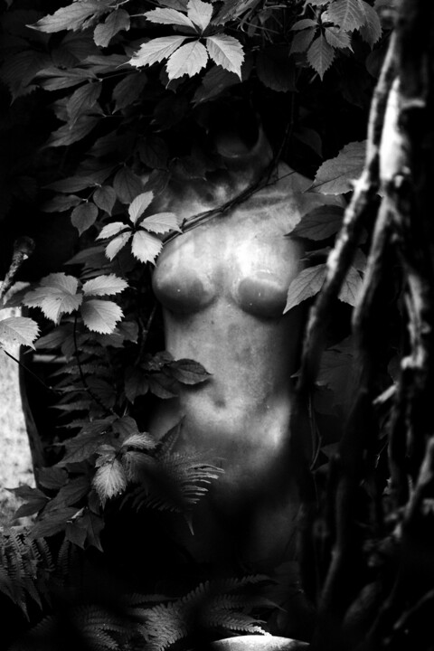 Photography titled "Hidden." by Dave English, Original Artwork, Digital Photography