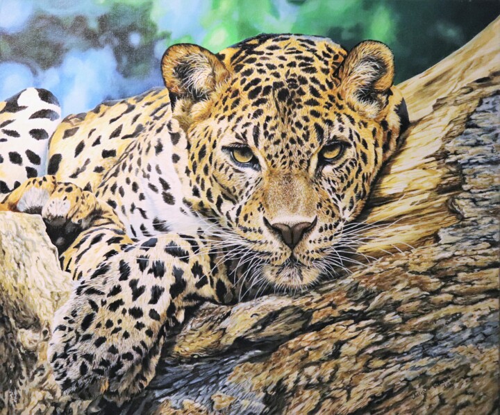 Young Leopard 绘画, 23.5x27.5 in