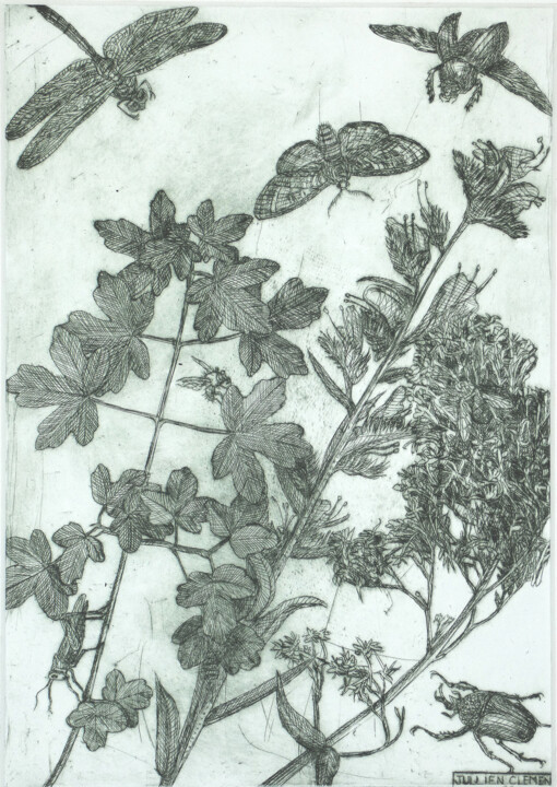 Plante et insectes 印花与版画, 11.4x7.9 in