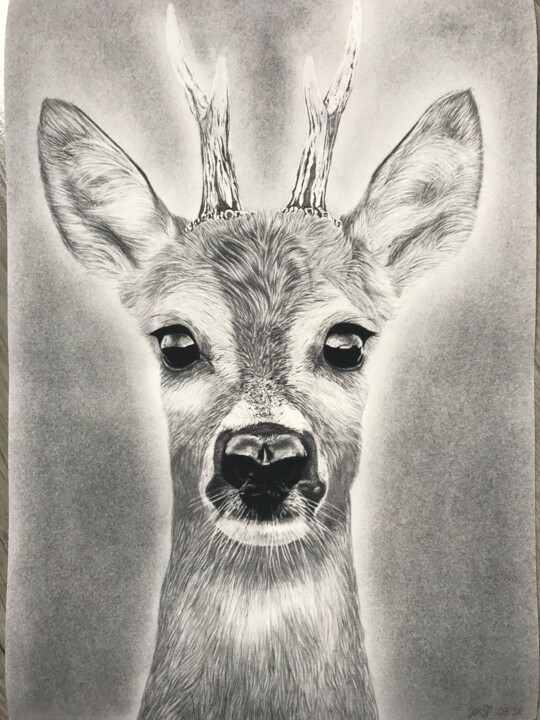 图画,  16.7x11.8 in 