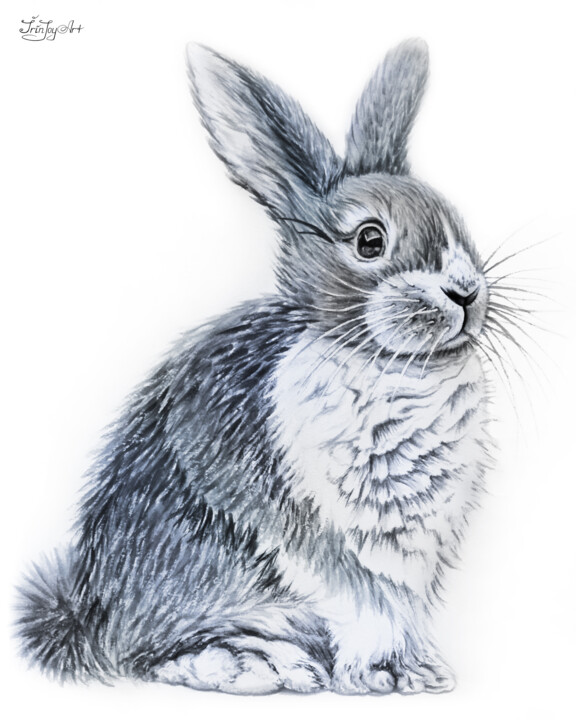 White gray rabbit bunny wall art Easter gift Nursery animal 印花与版画, 20x16 in