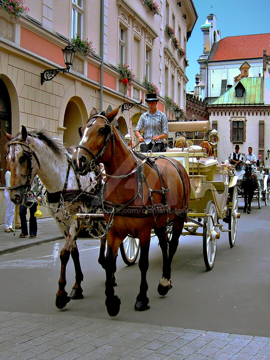 Europe - Horse Cart with Tourist 摄影