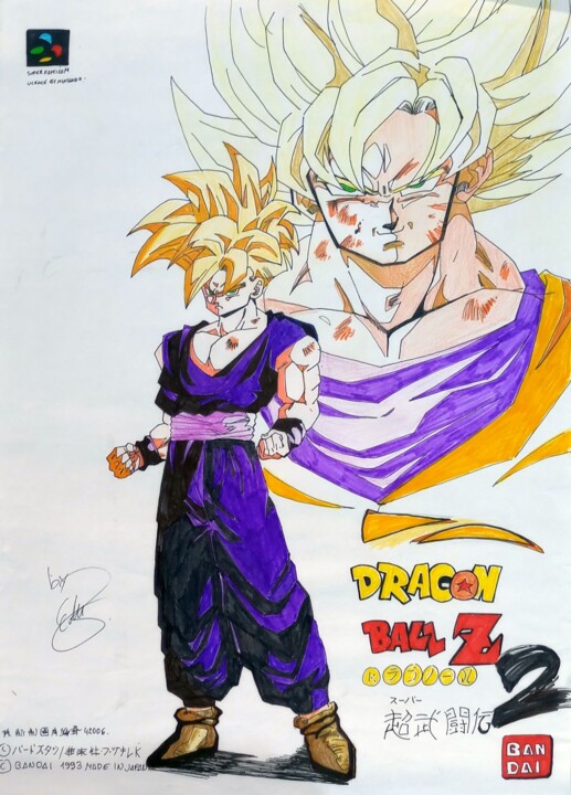 DRAGON BALL Z Tribute hommage 1993 SAIYAN GOKU HOGAN Manga 图画, 16.5x11.6 in
