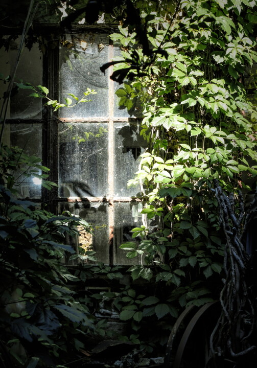 Photography titled "Magic7" by Dave English, Original Artwork, Digital Photography