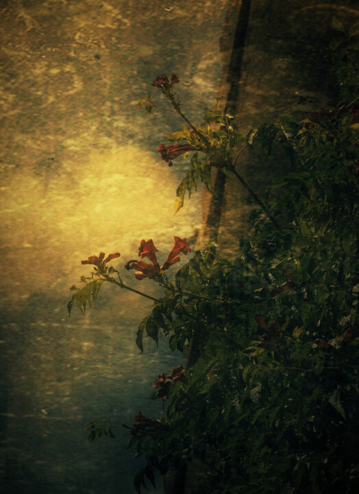 Photography titled "Trumpets Heralding…" by Dave English, Original Artwork, Digital Photography
